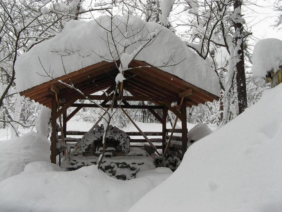 Natural Pension Pumpkin Otari Exterior foto